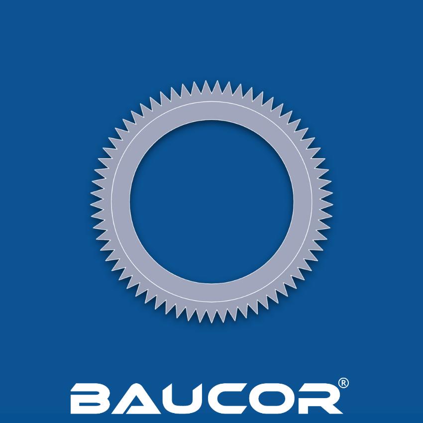 Slicer Blades  Baucor - Manufacturer of Circular, Rotary